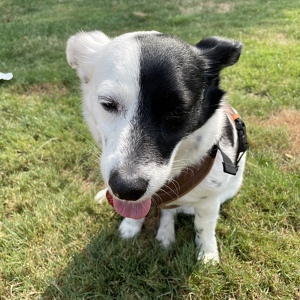 Fundraising Page: Zephyr Rivera